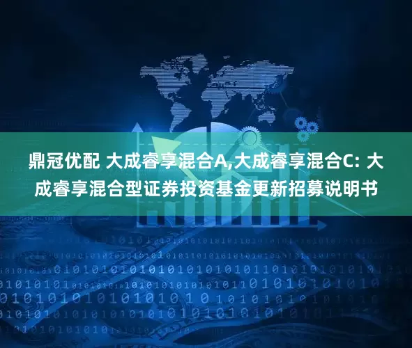 鼎冠优配 大成睿享混合A,大成睿享混合C: 大成睿享混合型证券投资基金更新招募说明书