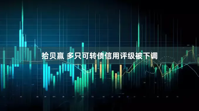 拾贝赢 多只可转债信用评级被下调