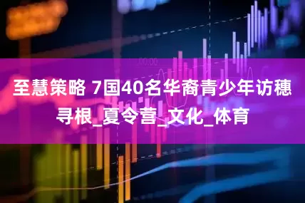 至慧策略 7国40名华裔青少年访穗寻根_夏令营_文化_体育