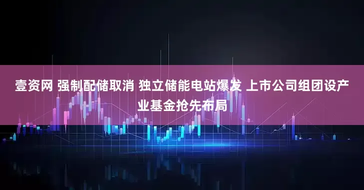 壹资网 强制配储取消 独立储能电站爆发 上市公司组团设产业基金抢先布局