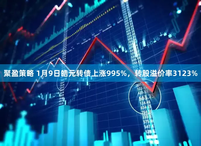 聚盈策略 1月9日皓元转债上涨995%，转股溢价率3123%